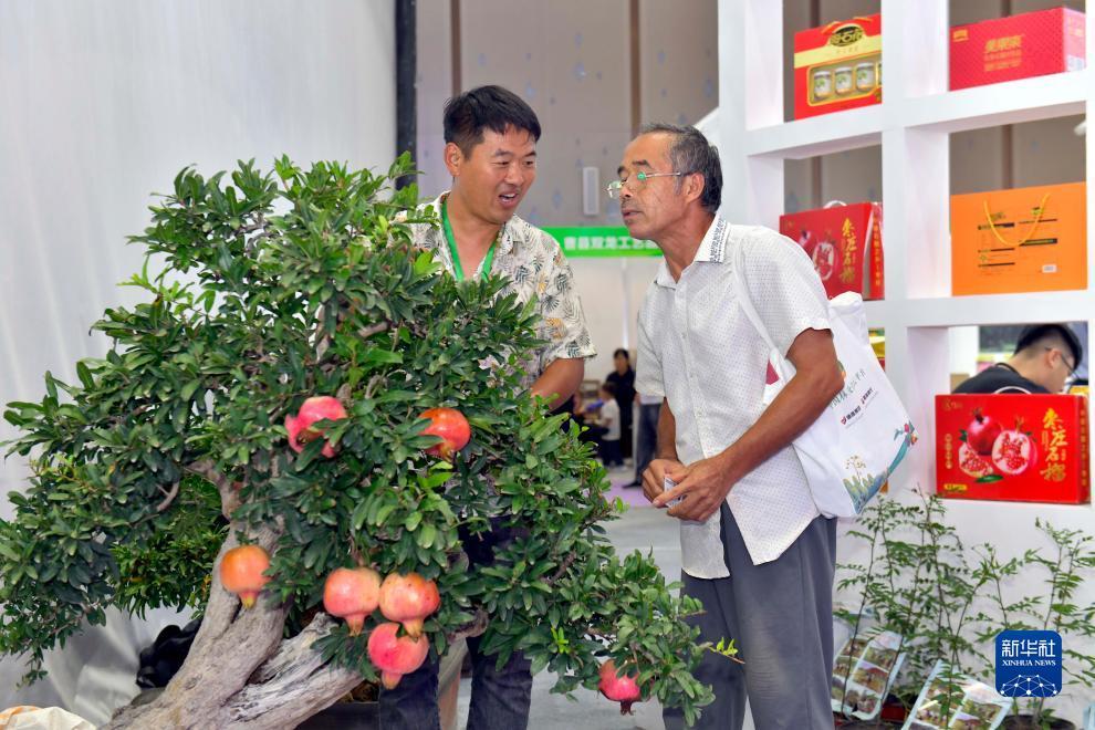 大圣注册娱乐